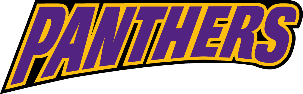 Northern Iowa Panthers 2002-2014 Wordmark Logo v4 diy DTF decal sticker